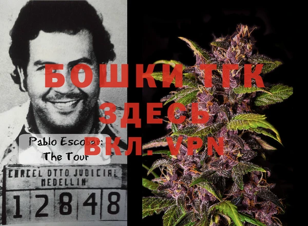 стаф Новозыбков