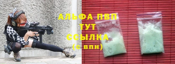 стаф Новозыбков