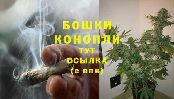 стаф Новозыбков