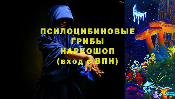 индика Нягань