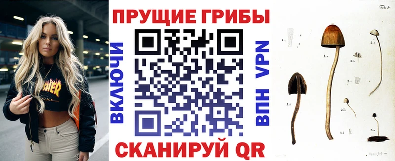 Псилоцибиновые грибы мухоморы Петров Вал